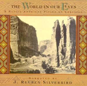 Cover van Silverbird, J. Reuben – The World In Our Eyes