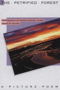 Cover van Valdez, Steven Michael – Petrified Forest