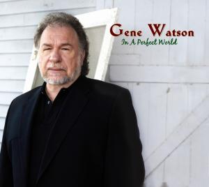Cover van Watson, Gene – In a Perfect World