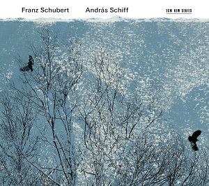 Schubert: Fortepiano