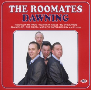 Cover van Roomates – Dawning