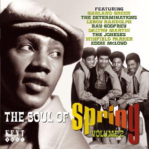 Cover van V/A – Soul of Spring Vol.2