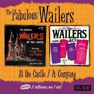 Cover van Wailers – At the Castle/& Company