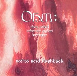Cover van Ohm – Amino Acid Flashback