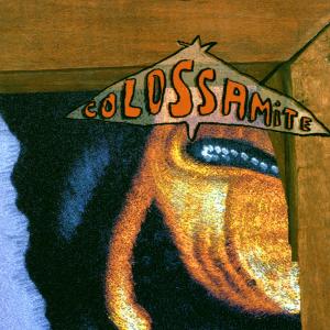 Cover van Colossamite – Economy of Motion