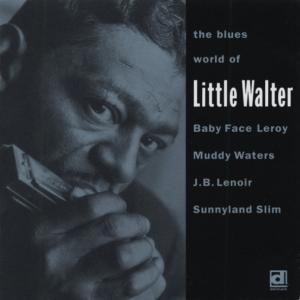 Cover van Little Walter W. Baby Face Leroy, Muddy Waters, J. – The Blues World of Little Walter