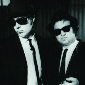 The Very Best of the Blues Bro