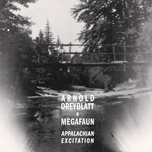 Cover van Dreyblatt, Arnold – Appalachian Excitation
