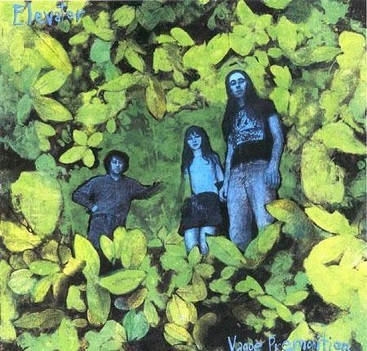 Cover van Elevator Through – Vague Premonition