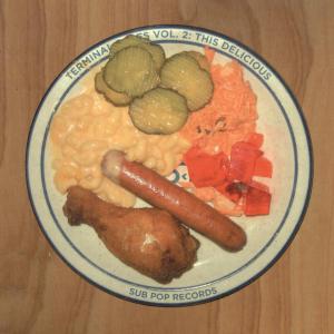 Cover van V/A – This Delicious Terminal Sales 2