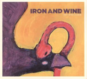 Cover van Iron & Wine – Boy With a Coin