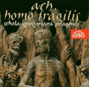 Cover van Noskaiova, Petra – Ach, Homo Fragilis