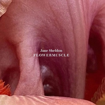 Cover van Sheldon, Jane – Flowermuscle