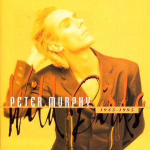 Cover van Murphy, Peter – Wild Birds 1985-1995