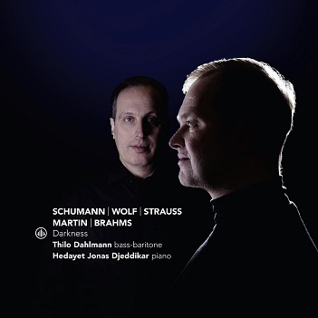 Cover van Dahlmann, Thilo & Hedayet Jonas Djeddikar – Darkness