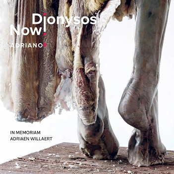 Cover van Dionysos Now! – Adriano 5