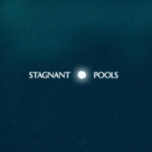 Cover van Stagnant Pools – Temporary Room