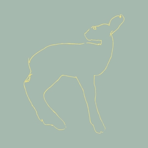 Cover van Songs: Ohia – Hecla & Griper