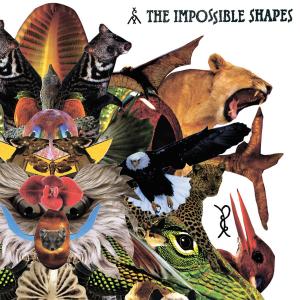 Cover van Impossible Shapes – Impossible Shapes
