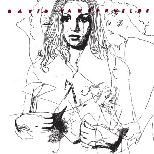 Cover van Vandervelde, David – 7-Jacket