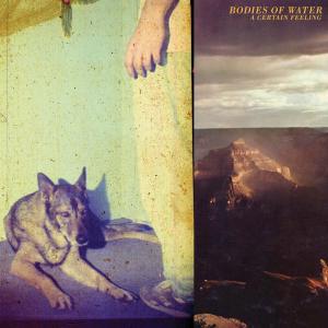 Cover van Bodies of Water – A Certain Feeling