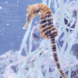 Cover van Taken By Trees – Dreams