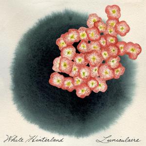 Cover van White Hinterland – Luniculaire