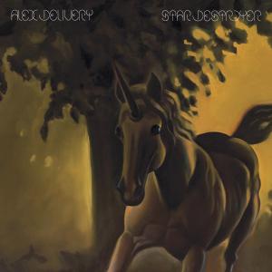 Cover van Alex Delivery – Star Destroyer