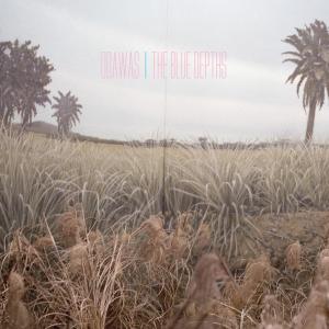 Cover van Odawas – The Blue Depths