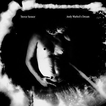 Cover van Sensor, Trevor – Andy Warhol's Dream