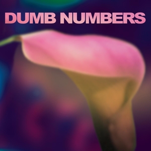 Cover van Dumb Numbers – Dumb Numbers