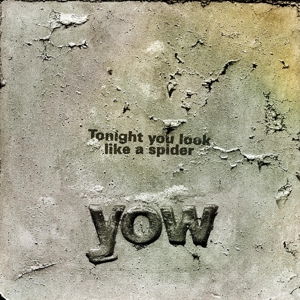 Cover van Yow, David – Tonight You Look Like a Spider