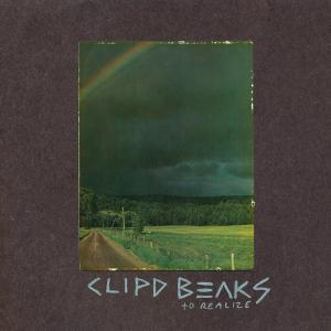 Cover van Clipd Beaks – To Realize