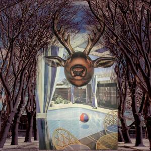 Cover van Hall of Fame – Paradise Now
