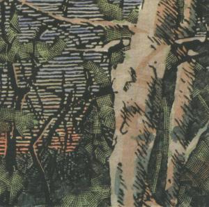 Cover van Anomoanon – Asleep Many Years In the Wood