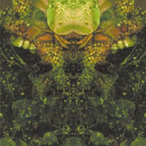 Cover van House of Low Culture – Edward's Lament