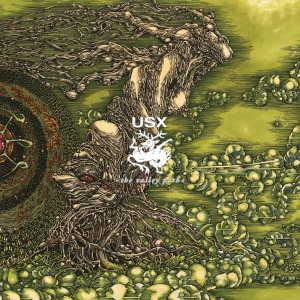 Valley Path
