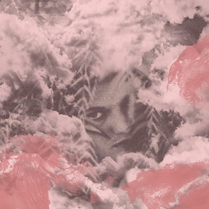 Cover van Dog Bite – Velvet Changes