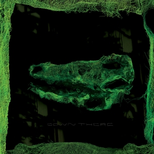 Cover van Avey Tare – Down There