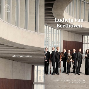 Cover van Zinman, David – Music For Winds