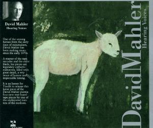 Cover van Mahler, David – Hearing Voices