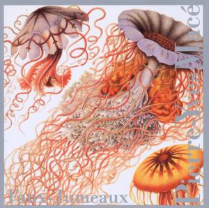 Cover van Mace, Pierre-Yves – Faux-Jumeaux