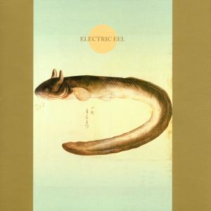 Cover van Koichi, Makigami – Electric Eel