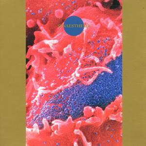 Cover van Death Ambient – Synaesthesia