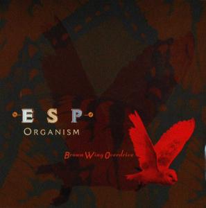 Cover van Brown Wing Overdrive – Esp Organism