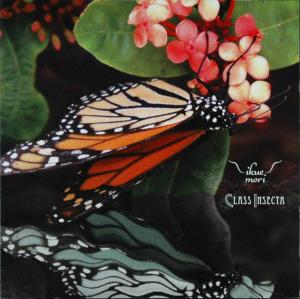 Cover van Mori, Ikue – Class Insecta