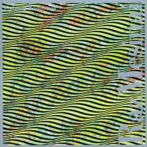 Cover van Mesinai, Raz – Cyborg Acoutiscs