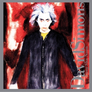 Cover van Simons, David – Fung Sha Noon