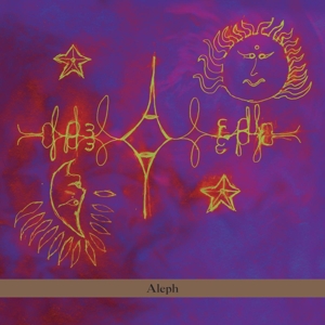 Cover van Riley, Terry – Aleph
