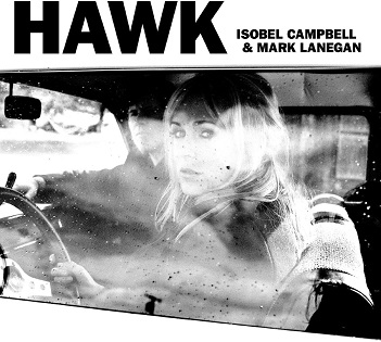 Hawk